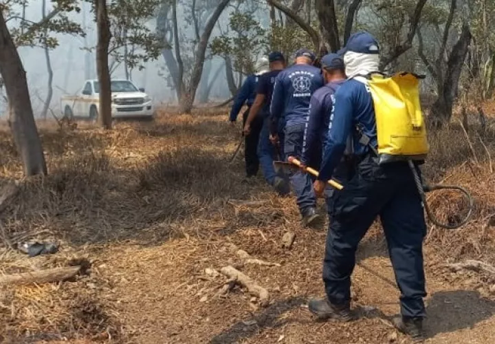 Ha sido necesario el apoyo de brigadas especializadas de otras provincias. Foto: Thays Domínguez