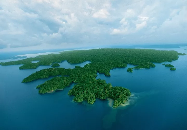 La isla  limita las visitas como parte del plan de conservación. Foto: Cortesía STRI
