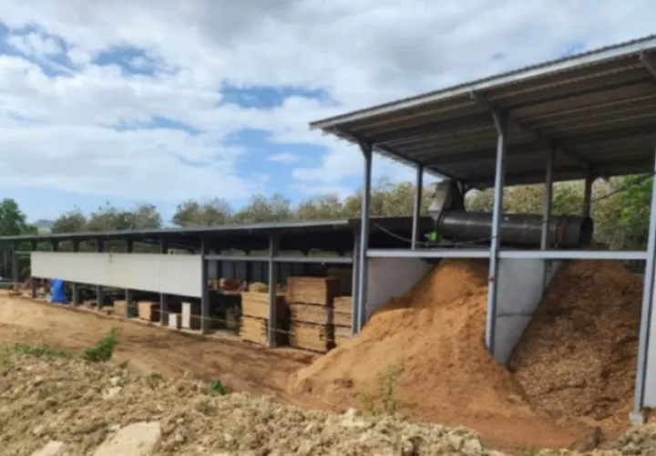Una planta procesadora de madera de teca fue inaugurada este año en Chepo.
