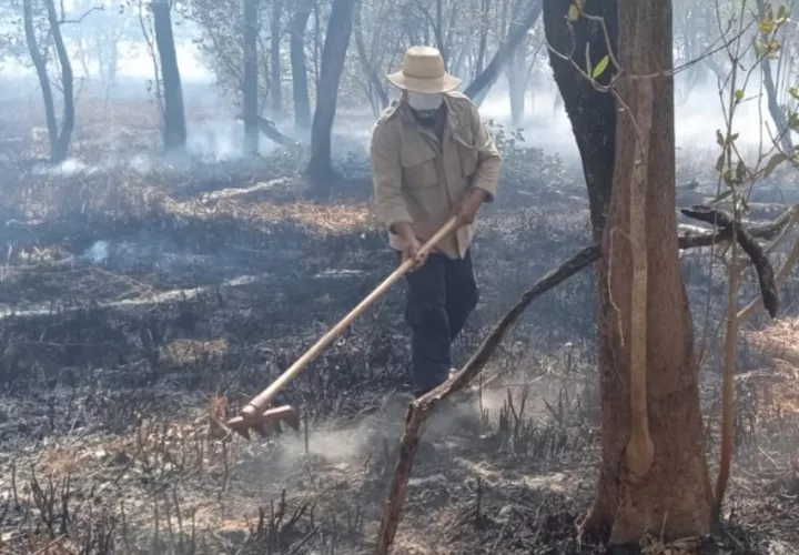 Ha sido necesario el apoyo de brigadas especializadas de otras provincias. Foto: Thays Domínguez, 