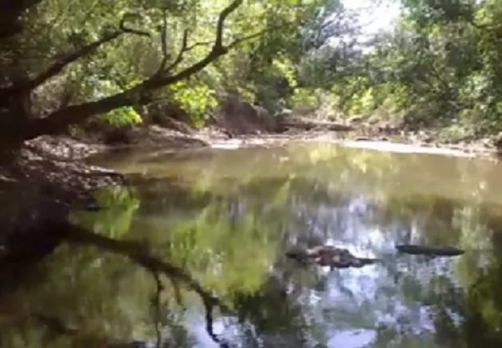 Las aguas del río San Pedro son utilizadas por productores y comunidades. Foto: Melquiades Vásquez A.