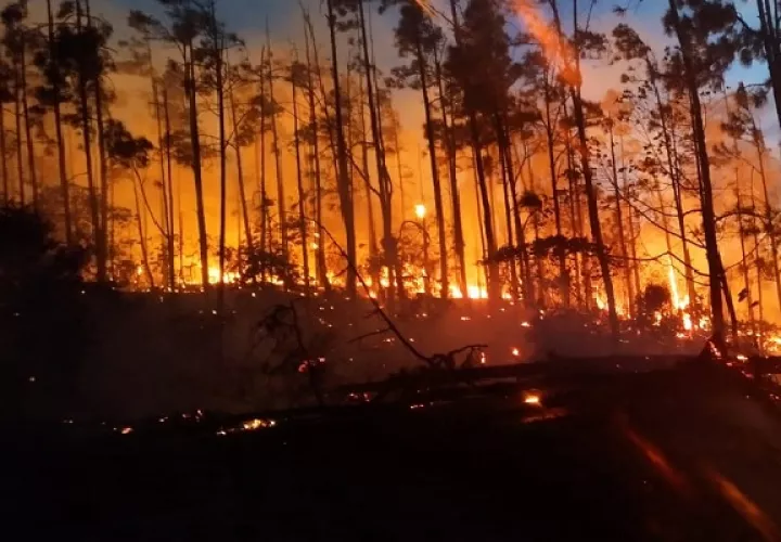 Las autoridades informaron que hasta ahora hay más de 100 hectáreas afectadas por este incendio de masa vegetal. Foto. Cortesía