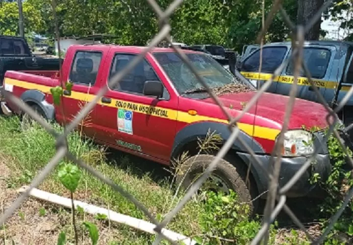 Los carros abandonados por daños en su mayoría son literalmente nuevos. Foto: Melquiades Vásquez
