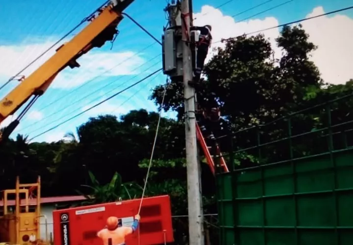 La instalación de los aislantes se dio en una finca privada, área muy visitada por estos primates. Foto: Archivo Ilustrativa.                             