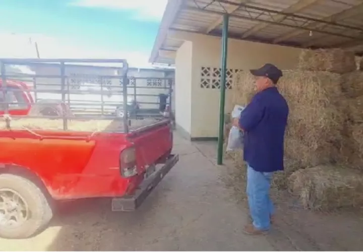 La ayuda técnica ha ido llegando para apoyar a los ganaderos en esta dura situación. Foto. Thays Domínguez