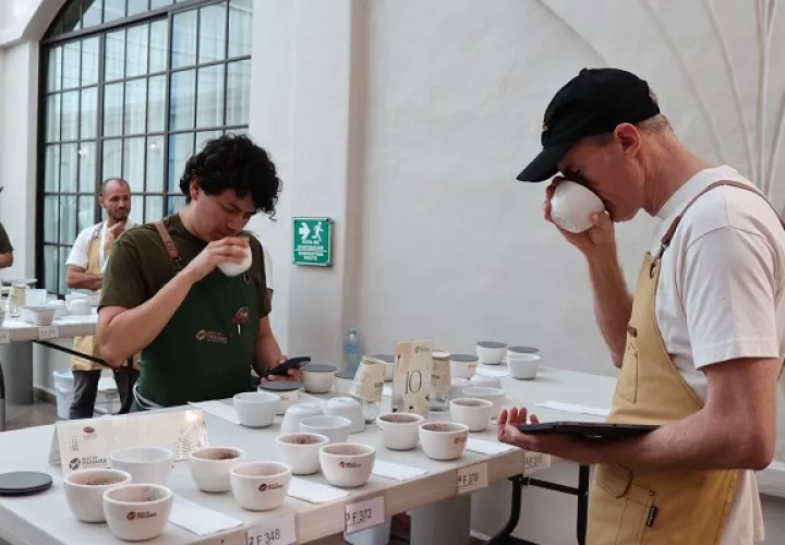 Hay un café varietal que es el favorito para ganar en esa categoría, está causando mucho de qué hablar entre los jueces por su calidad. Foto. Cortesía