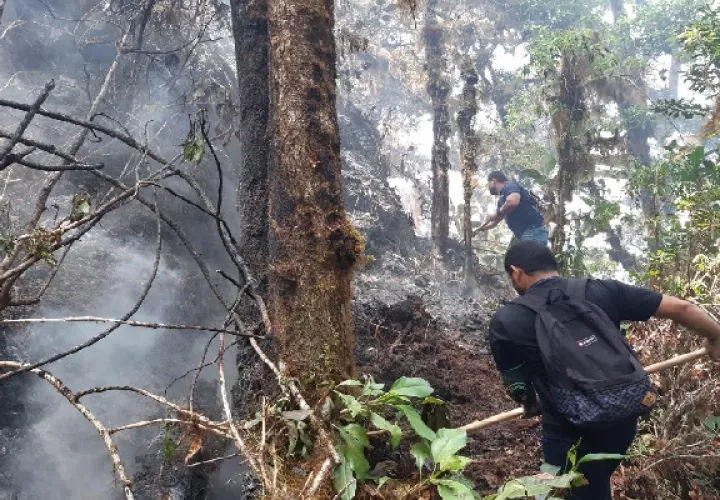 Este incendio ha causado graves daños al ecosistema, oficialmente se desconoce el total de hectáreas afectadas. Foto. José Vásquez
