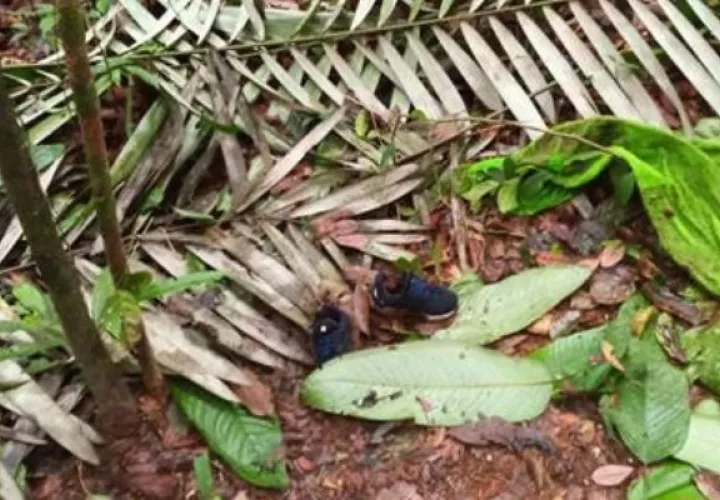 Una toalla y un par de zapatos encontrados en la selva donde ocurrió el siniestro aéreo. Foto: EFE