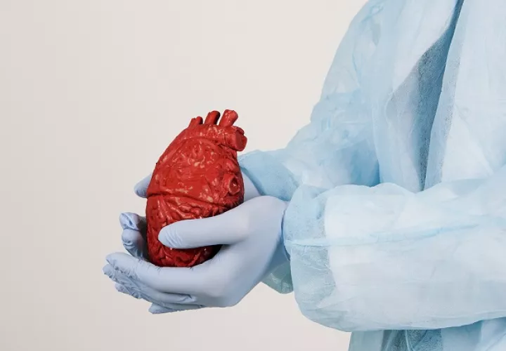 La fuente más importante de donantes es de pacientes con muerte cardiocirculatoria. Foto: Ilustrativa / Freepik