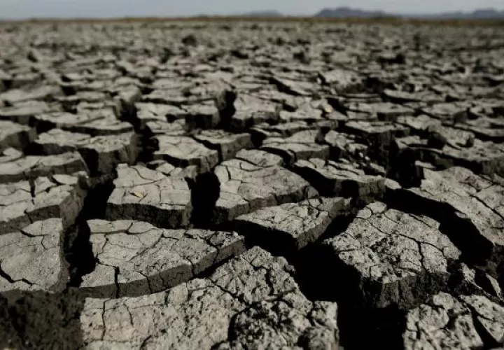 La Organización Meteorológica Mundial (OMM) confirma altas probabilidades de El Niño. Foto: EFE