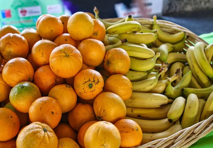 Las frutas ayudan a mejorar la salud y la nutrición a nivel familiar. Foto: FAO
