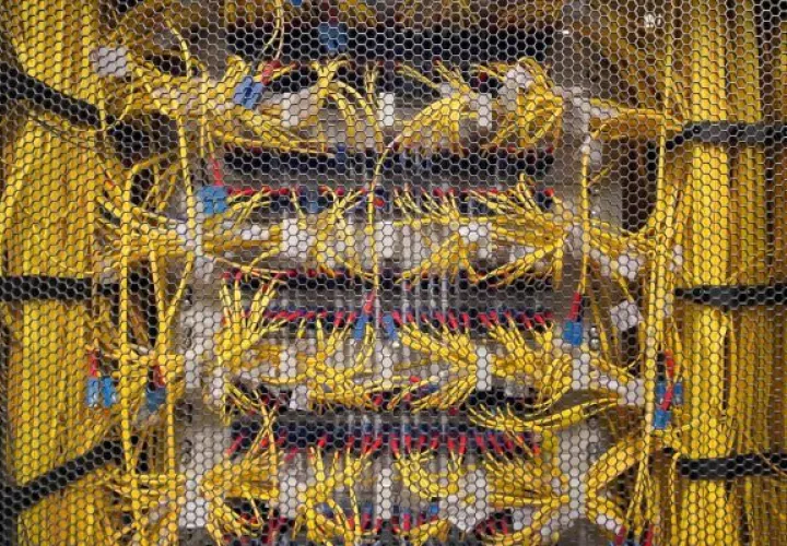 Una ola de innovación para reciclar el severo impacto térmico del mundo digital. Foto: EFE