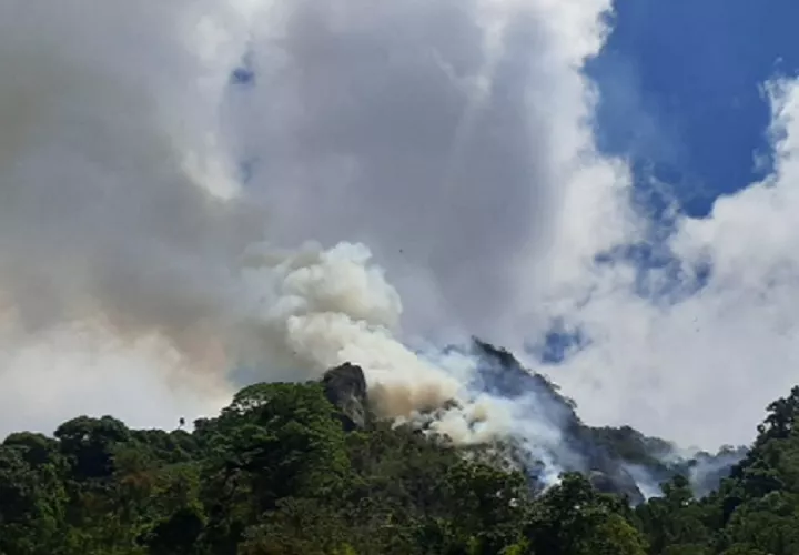 El incendio está fuera de los límites del Parque Internacional La Amistad. Foto: José Vásquez