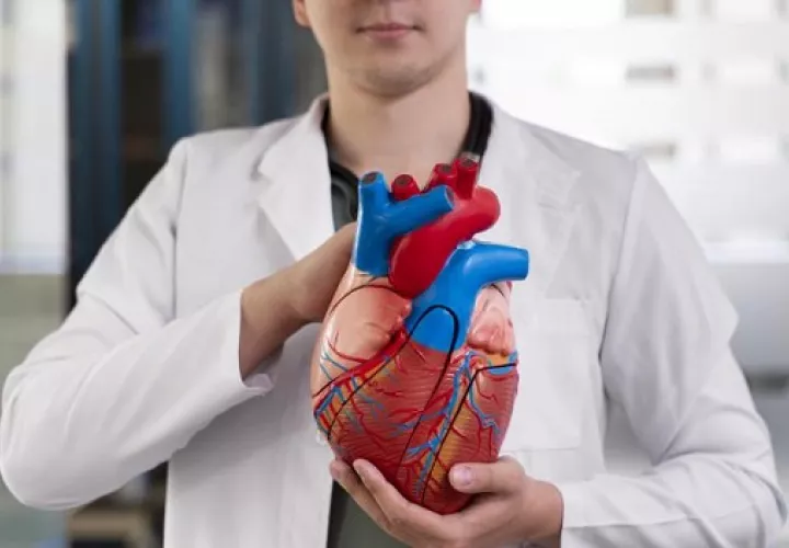 La insuficiencia cardiaca no tiene cura, es un mal crónico y progresivos. Foto: Ilustrativa / Freepik