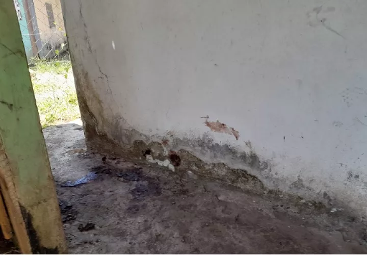 Lugar donde fu abusada y golpeada en la cabeza hasta dejarla inconsciente. Foto. José Vásquez