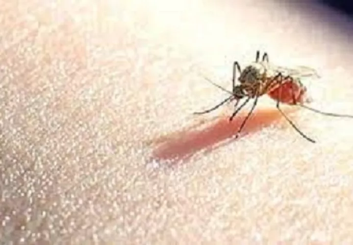 Minsa distribuye mosquiteros en algunas zonas del país. Archivo.
