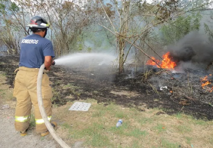 Desde enero, hasta los primeros días de abril, los Bomberos de Panamá han respondido a 2,890 llamadas por incendio de masa vegetal. Foto. Eric Montenegro