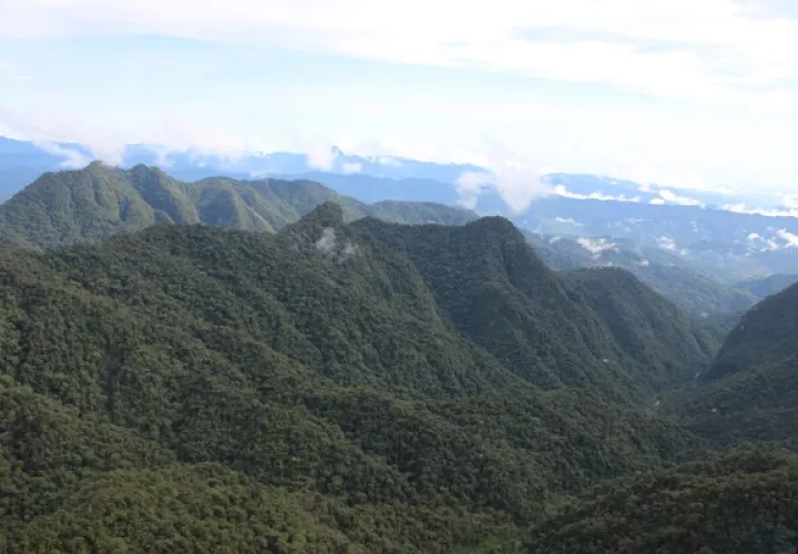 El PILA es el único parque a nivel nacional que se encuentra entre dos países. Foto: MiAmbiente