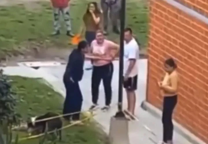 El hecho ha generado debate entre los partidarios de este perro y quienes lo catalogan de agresivo. 