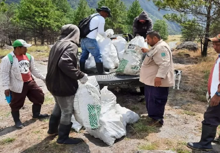 Se llevó a cabo un operativo de limpieza en el Parque Nacional Volcán Barú. Foto. José Vásquez