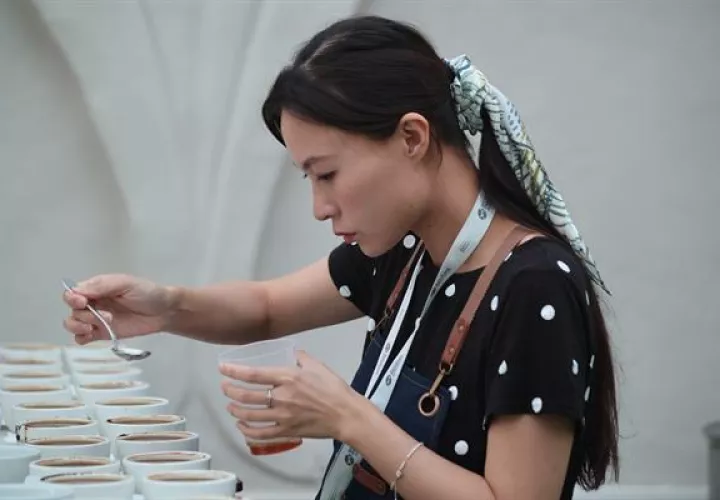 Se realizó la cata del café más fino del mundo, catalogado así por expertos que viajaron a Panamá para probar los 72 lotes semifinalistas de productores de la provincia de Chiriquí.