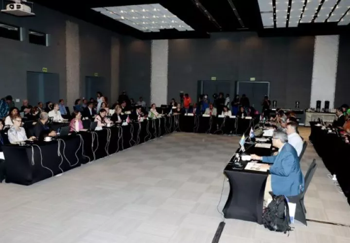 Conferencia de las Partes (COP 31). Foto: Víctor Arosemena