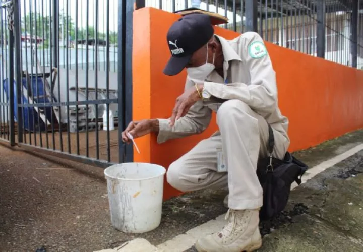 En lo que va del año 2023, hasta la semana 22 se tiene un total de 153 casos de dengue confirmados en San Miguelito.