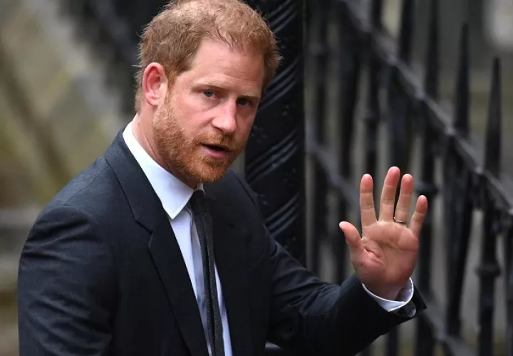 Harry. Foto: EFE