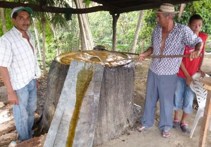 En la pintoresca comunidad de Bajo Corral, hay la mejor miel del país. Foto. Melquíades Vásquez