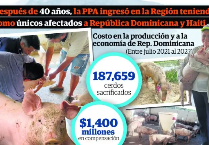 La Peste Porcina Africana (PPA) es una enfermedad mortal que afecta a los cerdos y es causada por un virus altamente resistente al medio ambiente. Foto: Epasa (FAO)