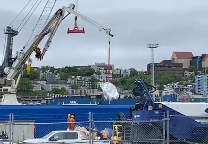 Tanto la TSB como la Policía Montada de Canadá han iniciado investigaciones para determinar las circunstancias del accidente del Titan. Foto: Cortesía
