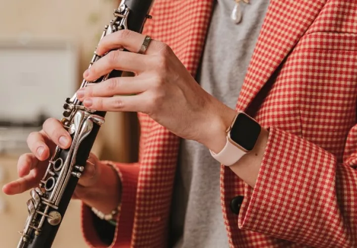 Se llevarán a cabo dos conciertos didácticos el 27 y el 29 de junio. Foto: Ilustrativa/Pexels