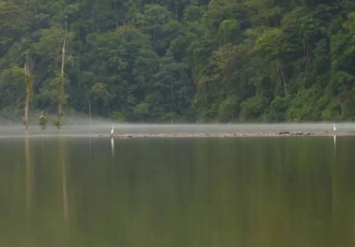Se espera aumentar considerablemente el uso eficiente de los recursos hídricos. Foto: Cortesía MiAmbiente