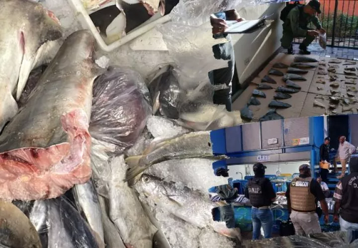 Un total de 5 personas fueron aprehendidas mediante la Operación Shark. Foto: Cortesía