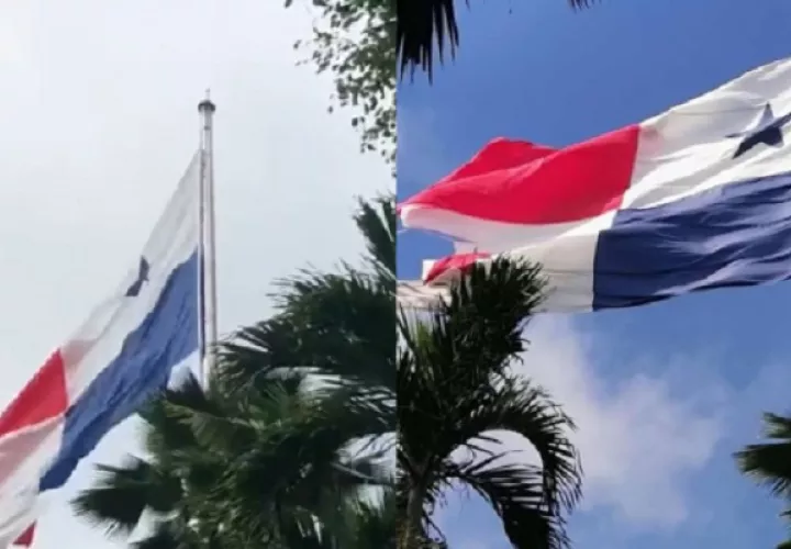El estado de la bandera generó críticas. 
