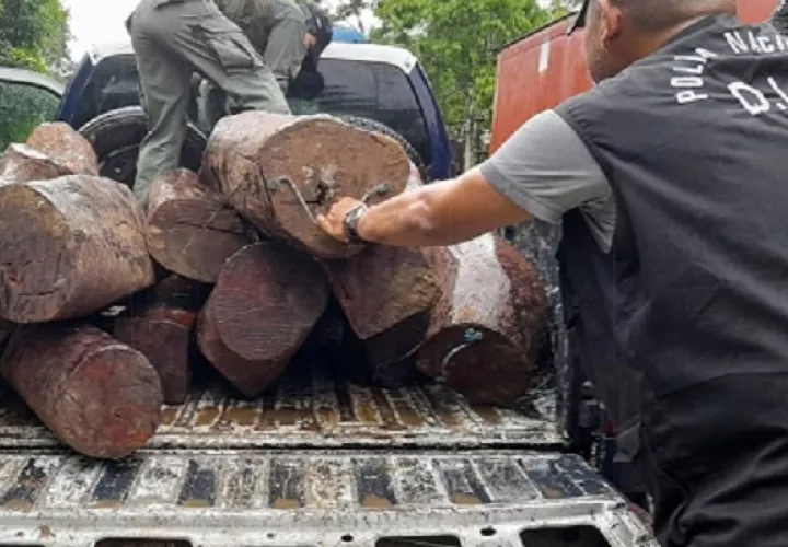 El material forestal se encontraba dentro de un vagón en una propiedad en San Juan. Foto: Diomedes Sánchez