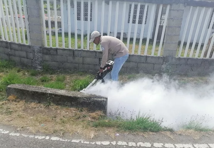 Durante la tarea de inspección, las autoridades de salud, precisaron que encontraron 1,224 criaderos del mosquito. Foto. Diomedes Sánchez