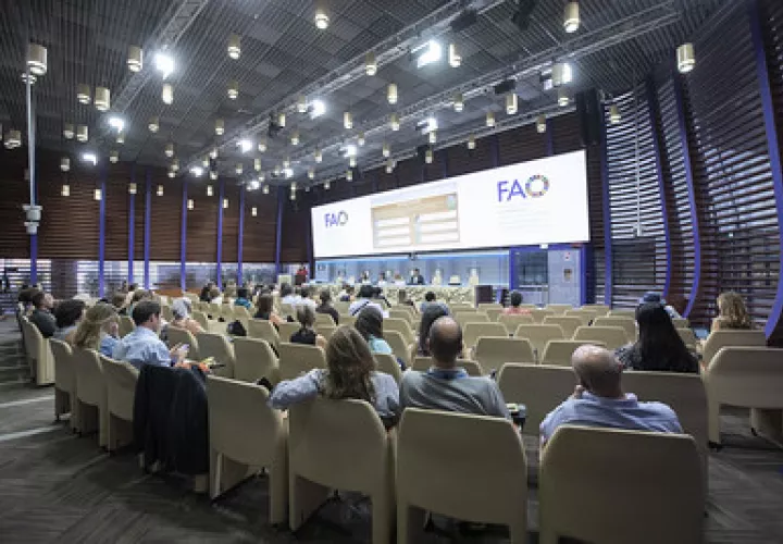 SOFI también constató que alrededor del 29.6 % de la población mundial  no tenía acceso constante a los alimentos. Foto: FAO
