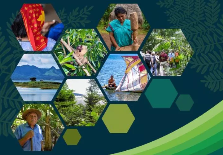REDD+, es un compromiso consolidado en el Acuerdo de París. Foto: Cortesía MiAmbiente
