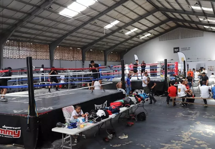 gimnasio_pedro_rockero_alcalzar_3.jpg