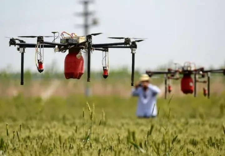 De acuerdo con la FAO, invertir en los jóvenes que viven en las áreas rurales es clave para mejorar la productividad agrícola. Foto: Cortesía