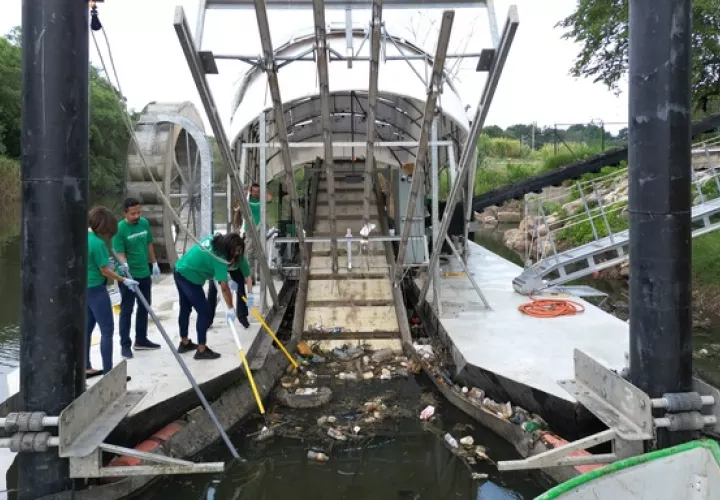 Wanda Díaz recolecta más de 12,000 libras de basura por mes. Foto: Cortesía 