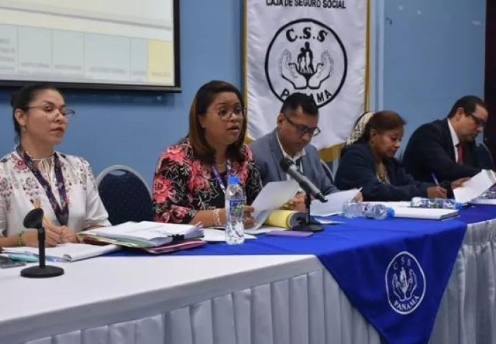 Quince empresas farmacéuticas participaron en la reunión de homologación. Foto: Cortesía CSS