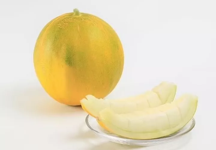 La nueva fruta se vende en Japón por más de 20 dólares. Foto: Cortesía