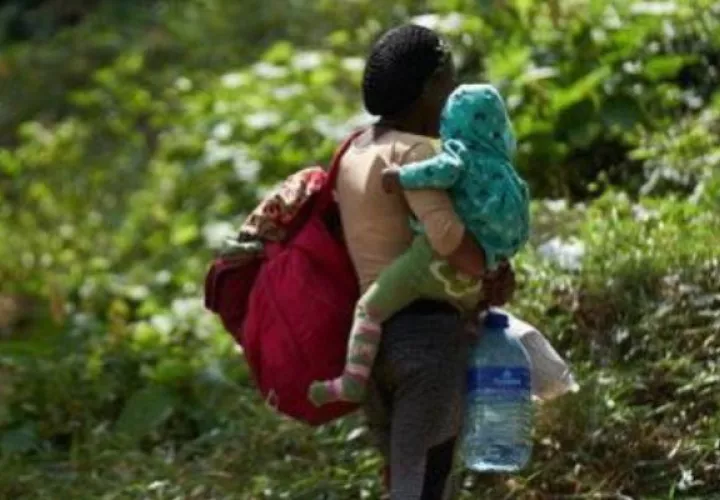 Los niños están expuestos a los peligros de la selva de Darién. Foto: Cortesía Minseg