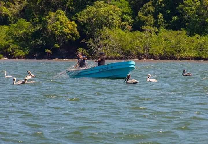 La base para redefinir la alfabetización oceánica incluye basarse más en los conocimientos empíricos de las comunidades costeras. Foto: Smithsonian