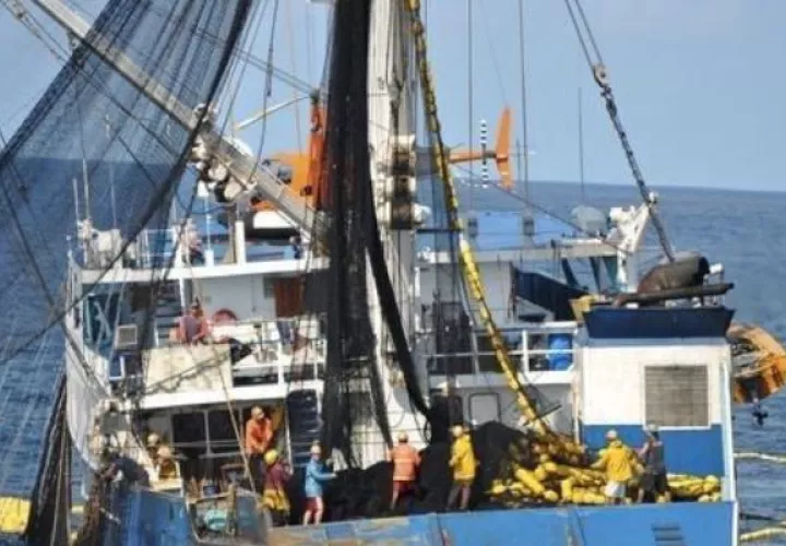 La Cámara Nacional de Pesca y Acuicultura de Panamá (CNPA) está en alerta. Foto: Cortesía