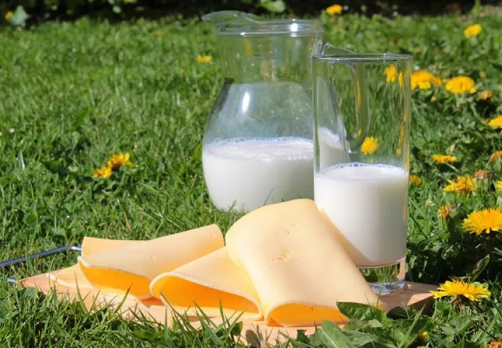 El estudio indica que los lácteos forman parte de una dieta saludable. Foto: Pexels