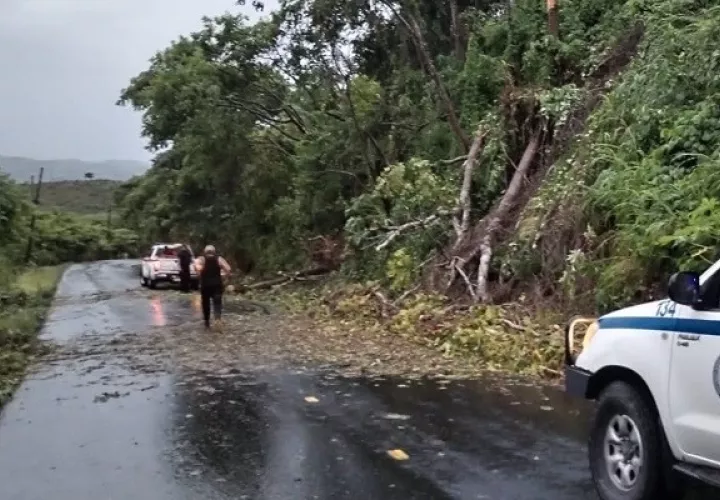 La tormenta dejó sin el servicio de energía eléctrica y comunicaciones a varias comunidades. Foto: Thays Domínguez