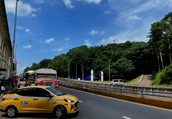 Atropello y fuga en Avenida de Los Mártires. Foto: Cortesía